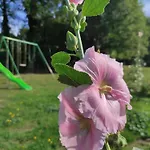 Et Perchee 